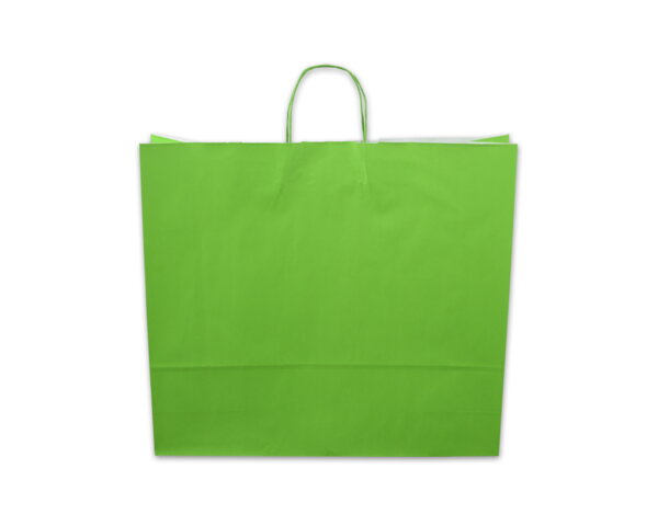 Papiertragetasche grün Tragetaschen color, Papiertaschen & Boxen