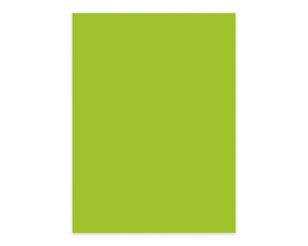 Büropapier intensivgrün A4 80 g/m²  Briefpapier, Blöcke, Hefte & Papier