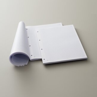 Ringbuch­einlagen und -Blöcke