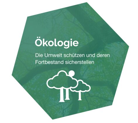 Das ökologische Unternehmensziel in der Wabe dargestellt