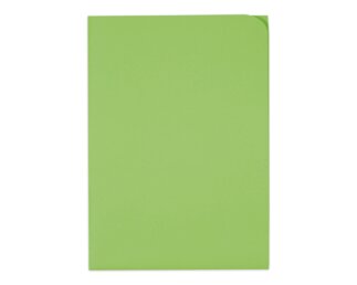 Ordo discreta intensivgrün, ohne Fenster, 120 g/m²  Organisieren & Präsentieren