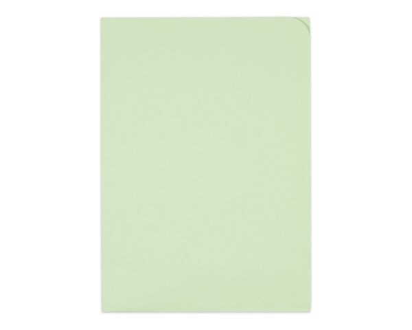 Ordo discreta grün, ohne Fenster, 120 g/m²  Ordo Organisations­mappen, Organisieren & Präsentieren, Ordo discreta