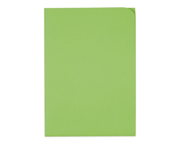 Ordo discreta intensivgrün, ohne Fenster, 120 g/m²  Ordo Organisations­mappen, Organisieren & Präsentieren, Ordo discreta