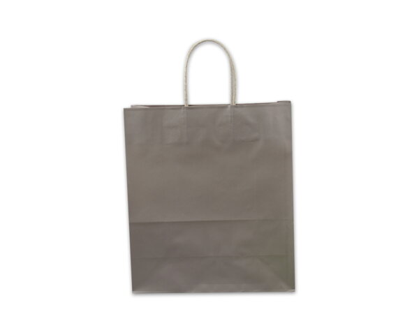 Papiertragetasche platin Tragetaschen color, Papiertaschen & Boxen