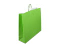 Papiertragetasche grün Tragetaschen color, Papiertaschen & Boxen